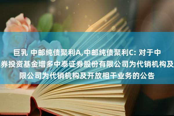 巨乳 中邮纯债聚利A,中邮纯债聚利C: 对于中邮纯债聚利债券型证券投资基金增多中泰证券股份有限公司为代销机构及开放相干业务的公告