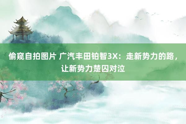 偷窥自拍图片 广汽丰田铂智3X：走新势力的路，让新势力楚囚对泣