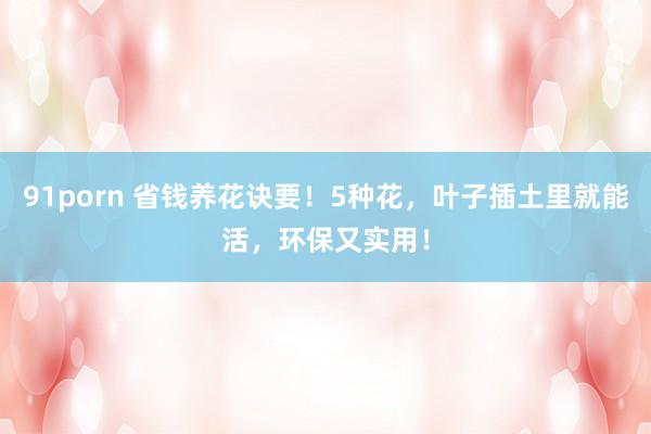 91porn 省钱养花诀要！5种花，叶子插土里就能活，环保又实用！