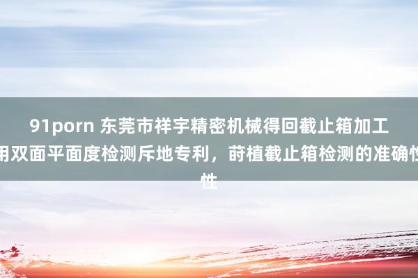 91porn 东莞市祥宇精密机械得回截止箱加工用双面平面度检测斥地专利，莳植截止箱检测的准确性