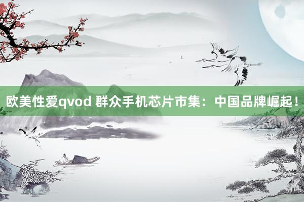 欧美性爱qvod 群众手机芯片市集：中国品牌崛起！