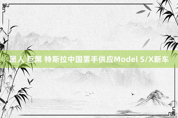 黑人 巨屌 特斯拉中国罢手供应Model S/X新车