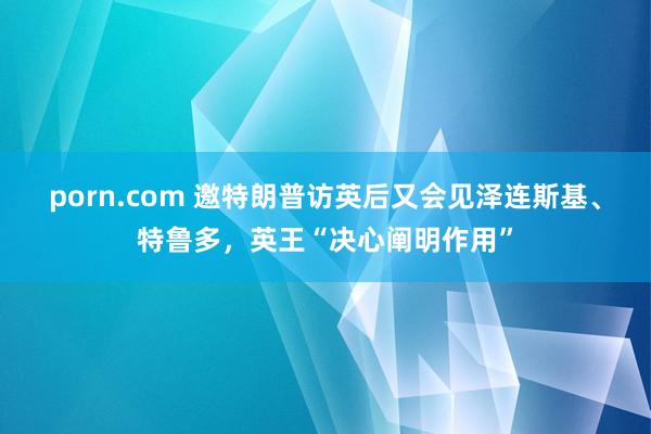 porn.com 邀特朗普访英后又会见泽连斯基、特鲁多，英王“决心阐明作用”