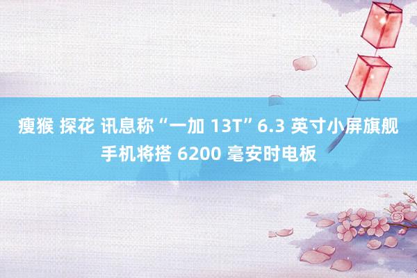 瘦猴 探花 讯息称“一加 13T”6.3 英寸小屏旗舰手机将搭 6200 毫安时电板
