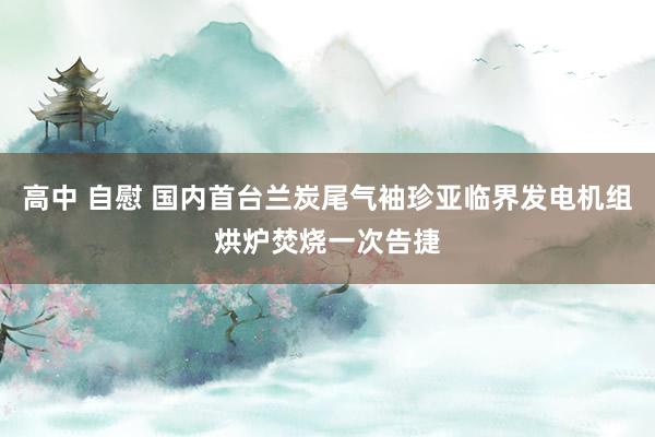 高中 自慰 国内首台兰炭尾气袖珍亚临界发电机组烘炉焚烧一次告捷